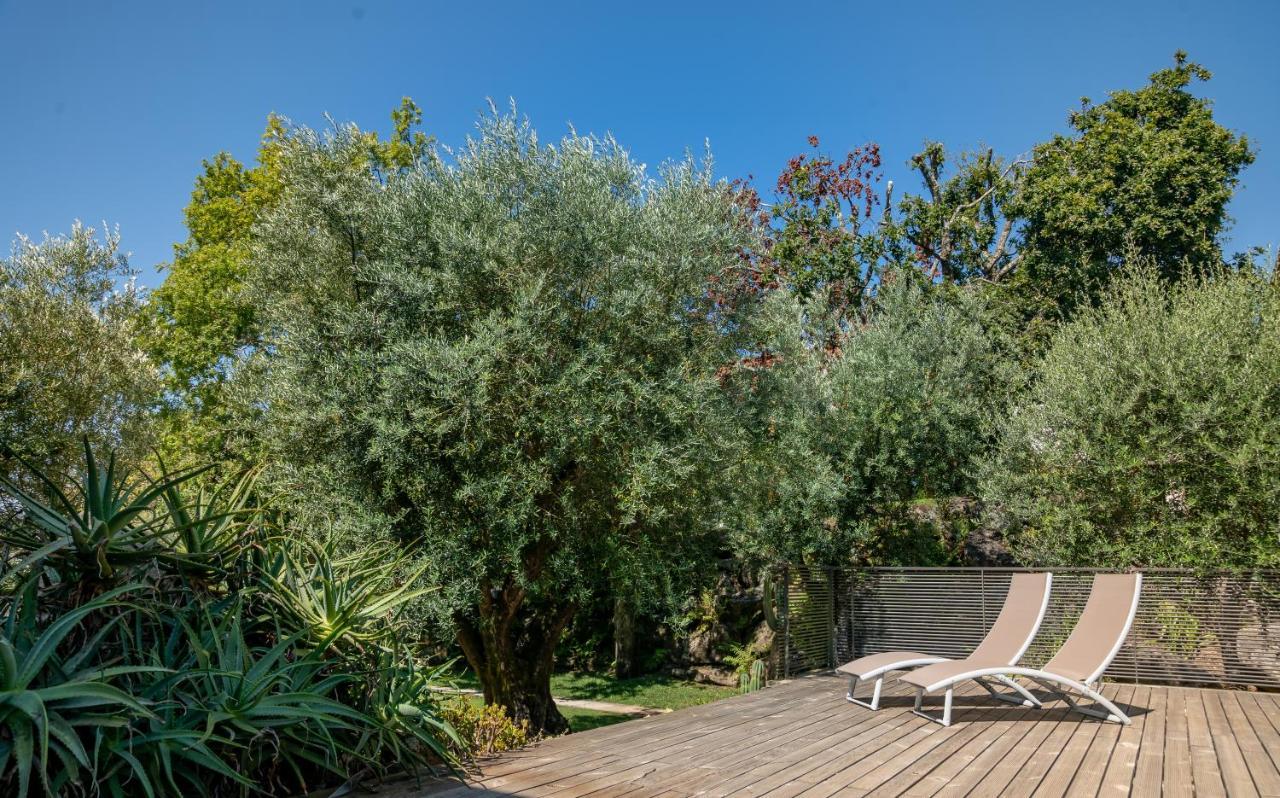 Rinoterra Minho Otel Caminha Dış mekan fotoğraf