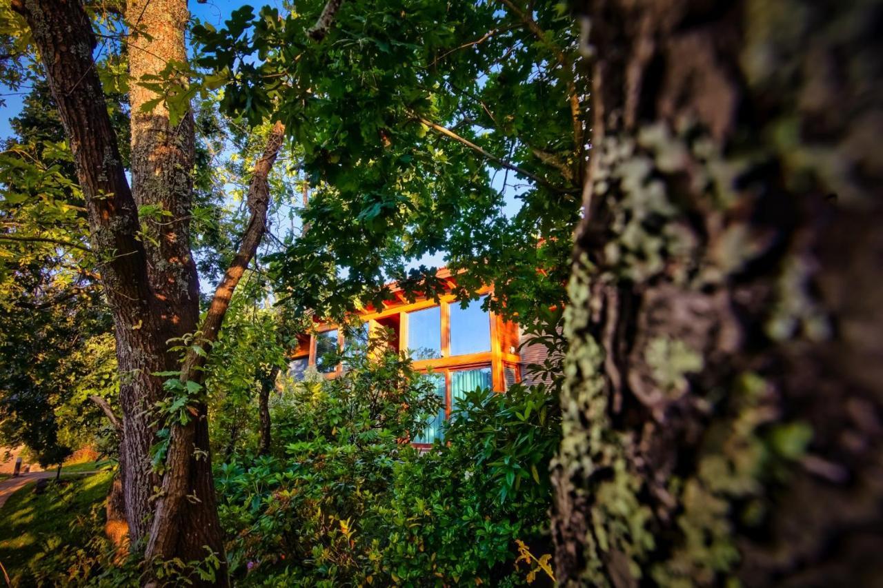 Rinoterra Minho Otel Caminha Dış mekan fotoğraf